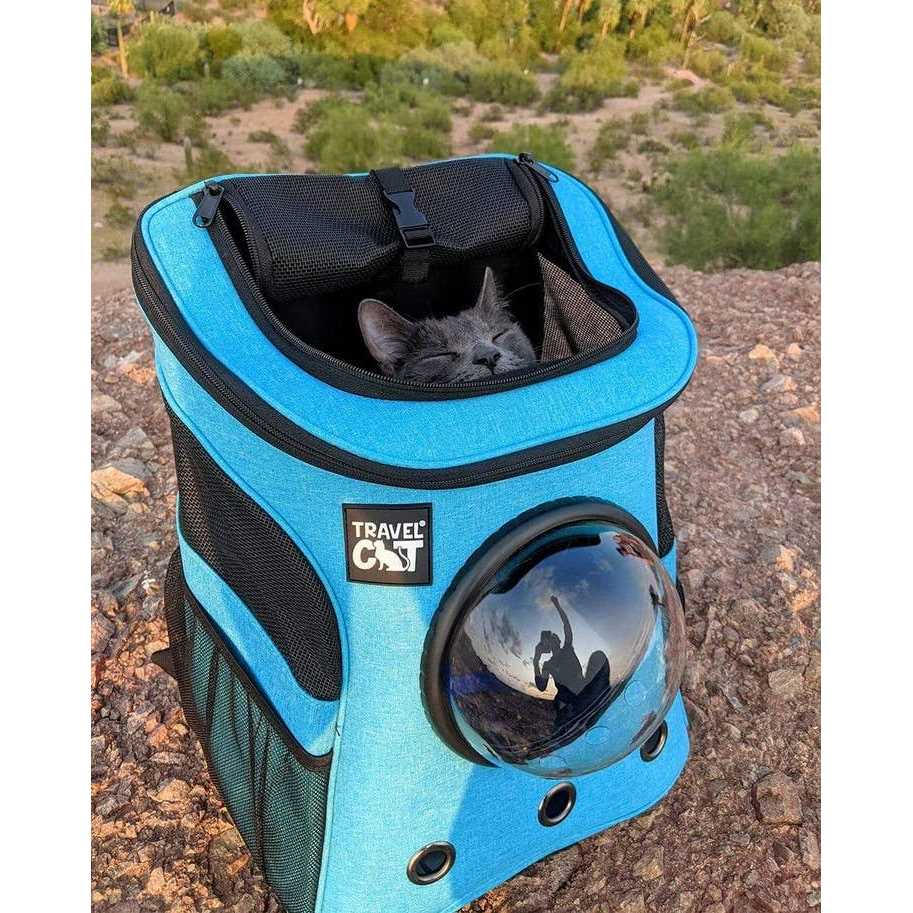 The Fat Cat Cat Backpack - Pet Supplies online store