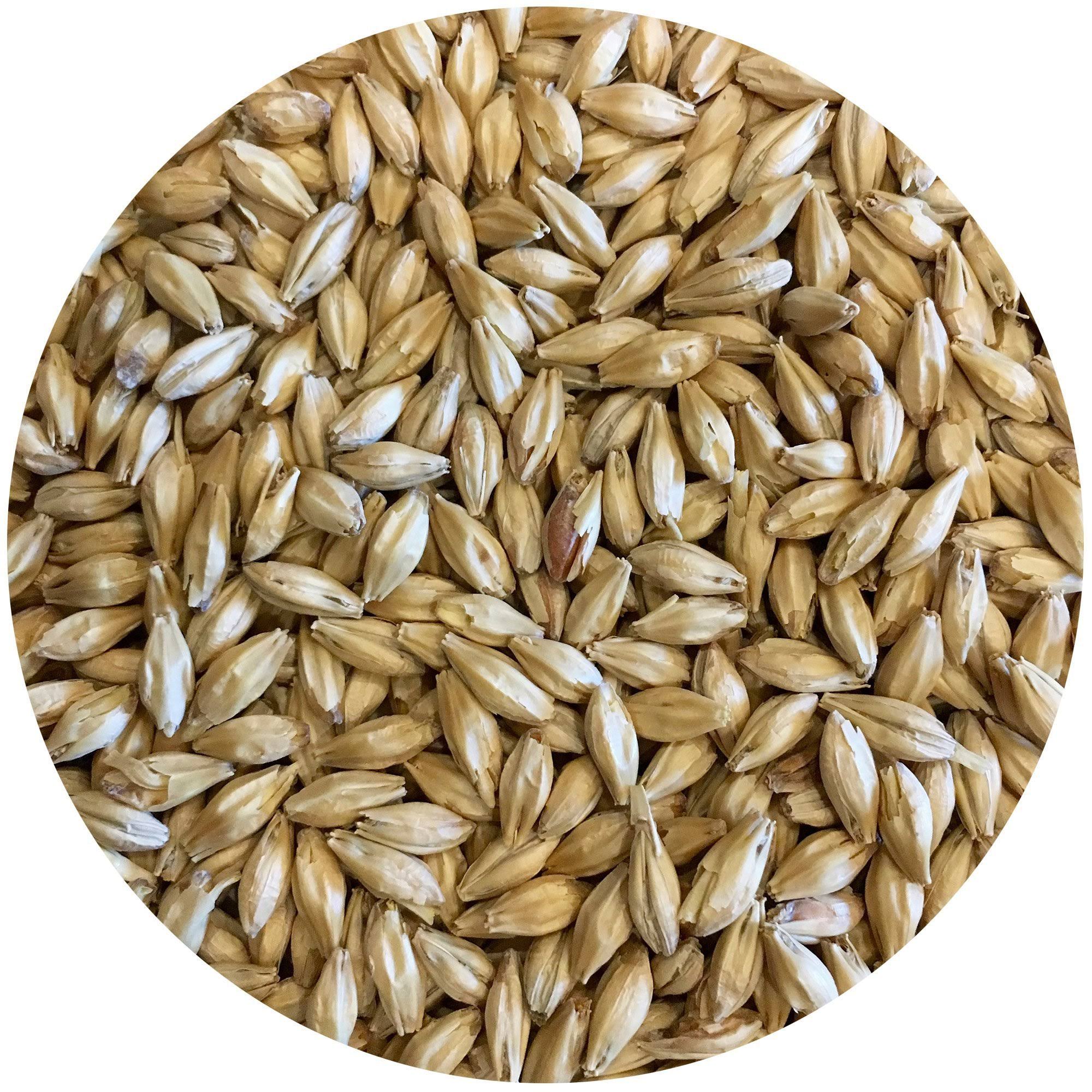 Mecca Grade Lamonta (American Pale) Malt - Bulk, 50 lb Sack