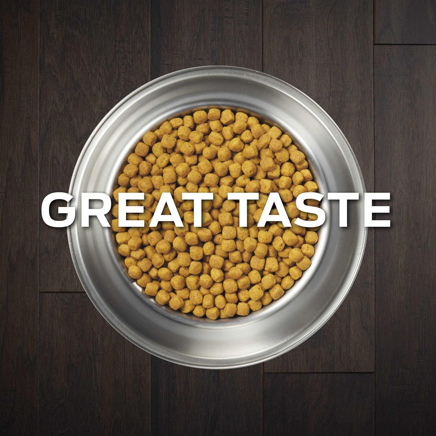 Purina Pro Plan Veterinary Diets EN Gastroenteric Formula Dry Dog Food - Pet Supplies online store