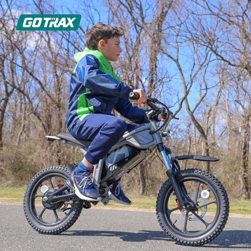 Gotrax Astra Electric Dirt Bike, 16" Pneumatic Tires, Max 16 Mile and 15.5Mph Speed Power by 300W Brushless Motor, Dual Suspension & Disc Brake, Electric Dirt Motorcycle for 8+ Years Old, Black