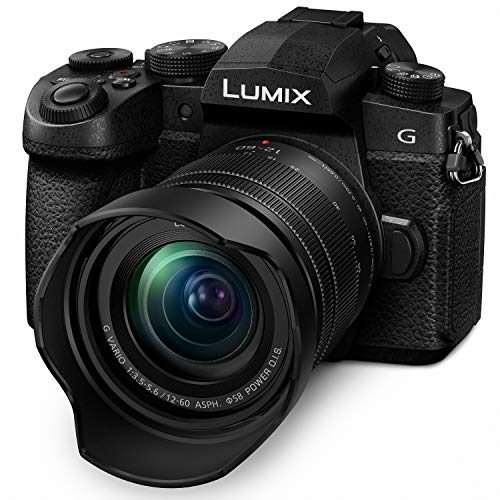 Panasonic LUMIX G95D 20.3 Megapixel Mirrorless Camera, 12-60mm F3.5-5.6 Micro Four Thirds Lens, 5-Axis Dual I.S. 2, 4K 24p 30p Video, Pre-Installed V-Log L, 3” OLED Touchscreen - DC-G95DMK(Black)