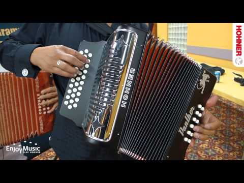 Panther 3100FB Diatonic Accordion, F-Bb-Eb