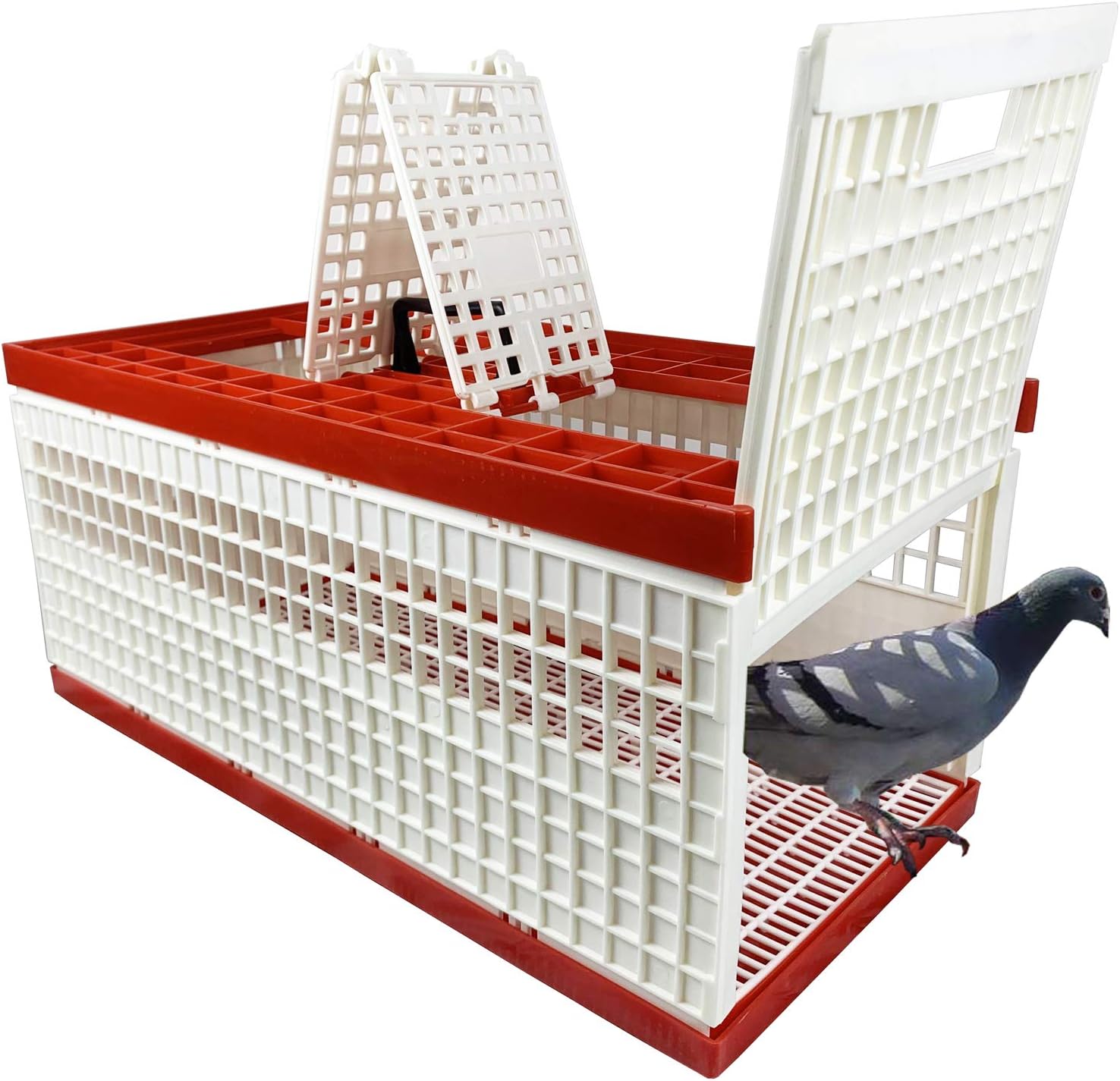 Plastic Pigeon cage Portable Foldable Plastic Transportation Poultry Transportation Bird cage Hunting cage Coop 24×12×9in Chicken cage