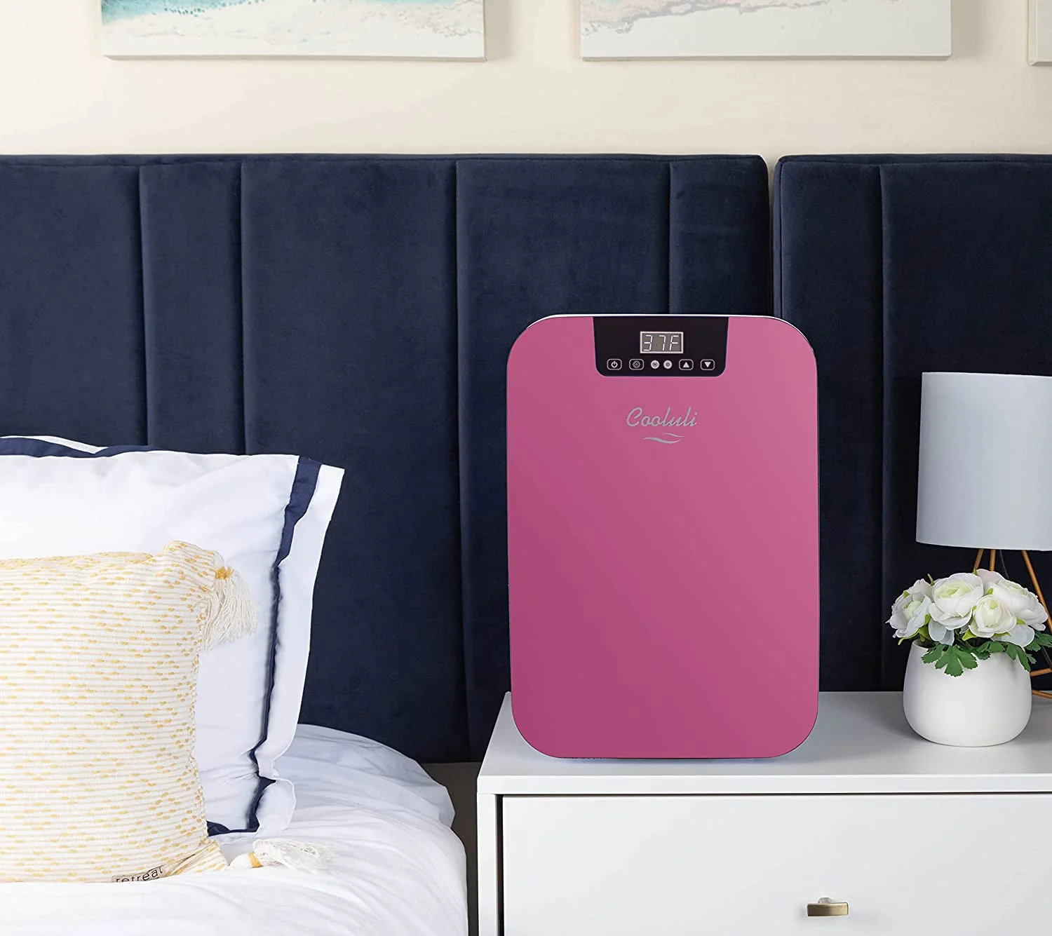 Cooluli 20L Mini Fridge For Bedroom - Car  Office Desk &amp; College Dorm Room - Glass Front &amp; Digital Temperature Control - 12v Small Refrigerator for Food  Drinks  Skincare  Beauty