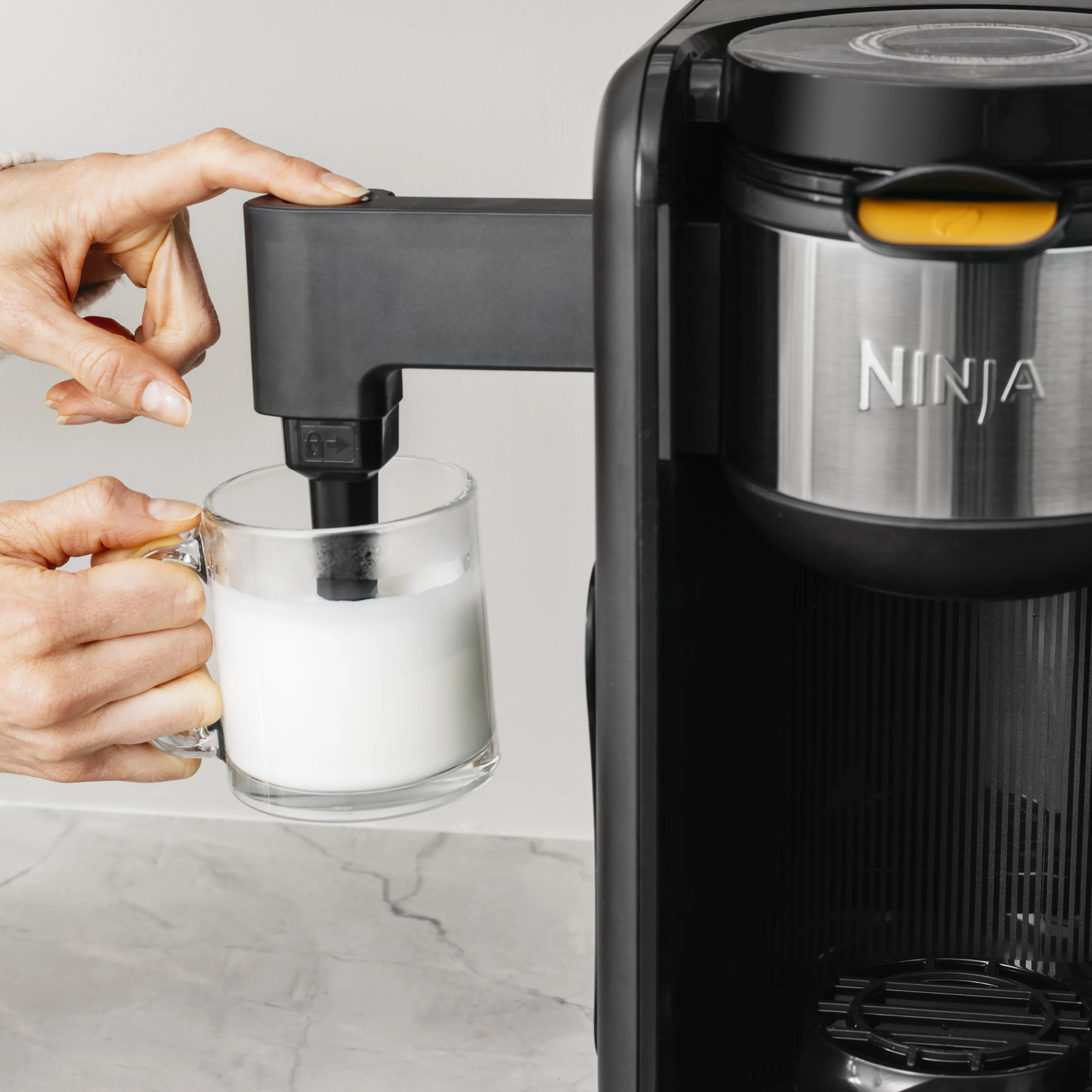 Ninja Hot and Cold Brew System (CP307)