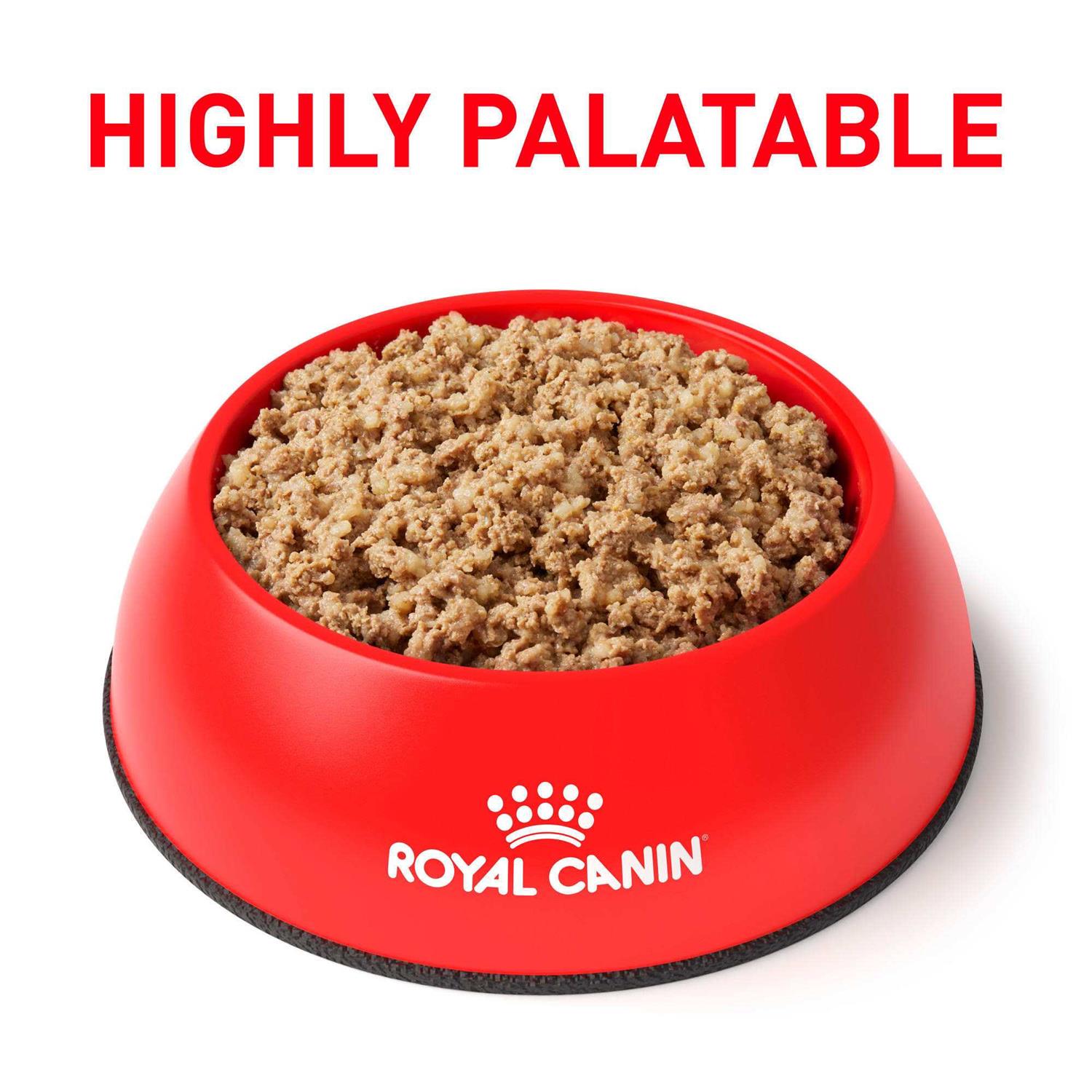 Royal Canin Veterinary Diet Gastrointestinal Loaf Canned Dog Food - Pet Supplies online store