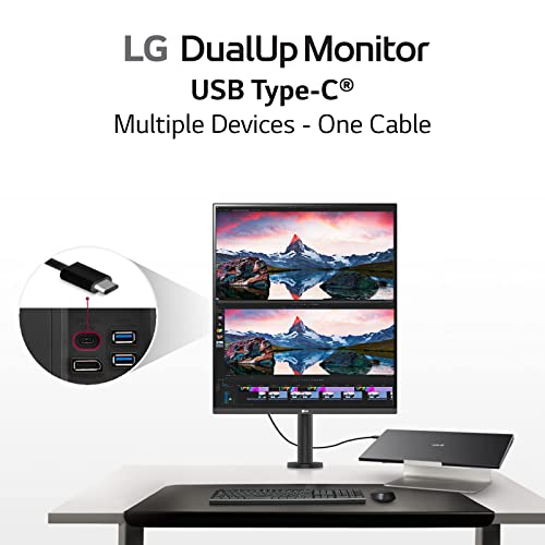 LG DualUp Monitor