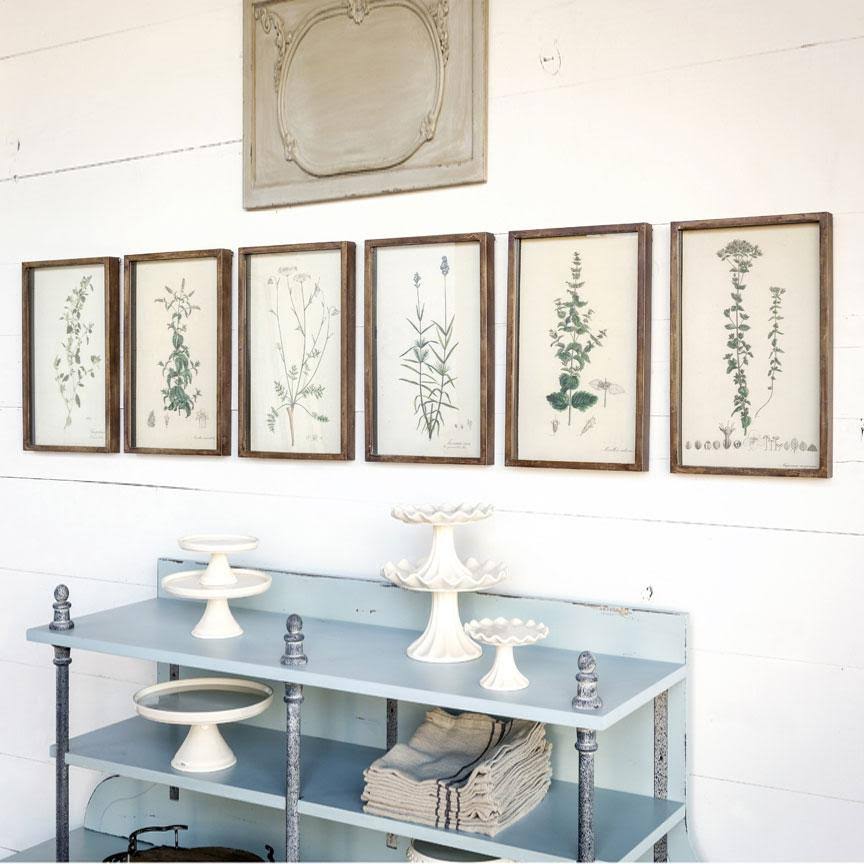 Collected Botanical Prints, Set of 6