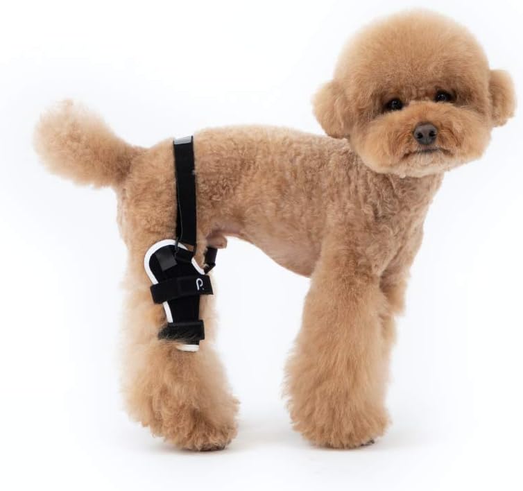 Poveo hinged Dog Knee Brace with Patella Tracker - Neoprene Canine Stifle Support for Dogs with Flexible Support, Torn ACL, Patella Luxation, osteoarthritis, limping from Joint Pain, Hip dysplasia