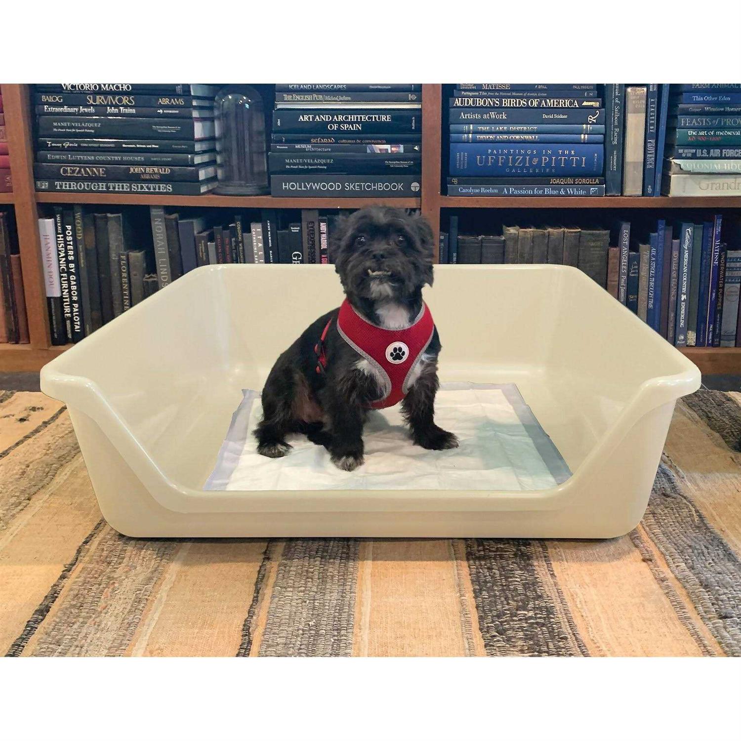 Shirley K's Indoor Dog Potty Tray - Pet Supplies online store