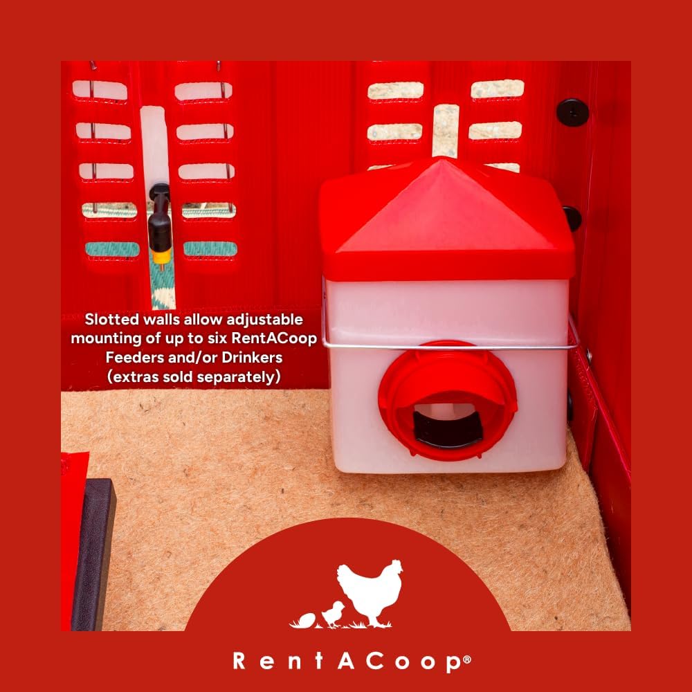 RentACoop Big Red Barn Chick Brooder Set with Chick Heating Plate with Anti-Roost Cone, Two 2.5 Pound Chick Feeders, Two 64 Ounce Chick Drinkers, and Jute Liner