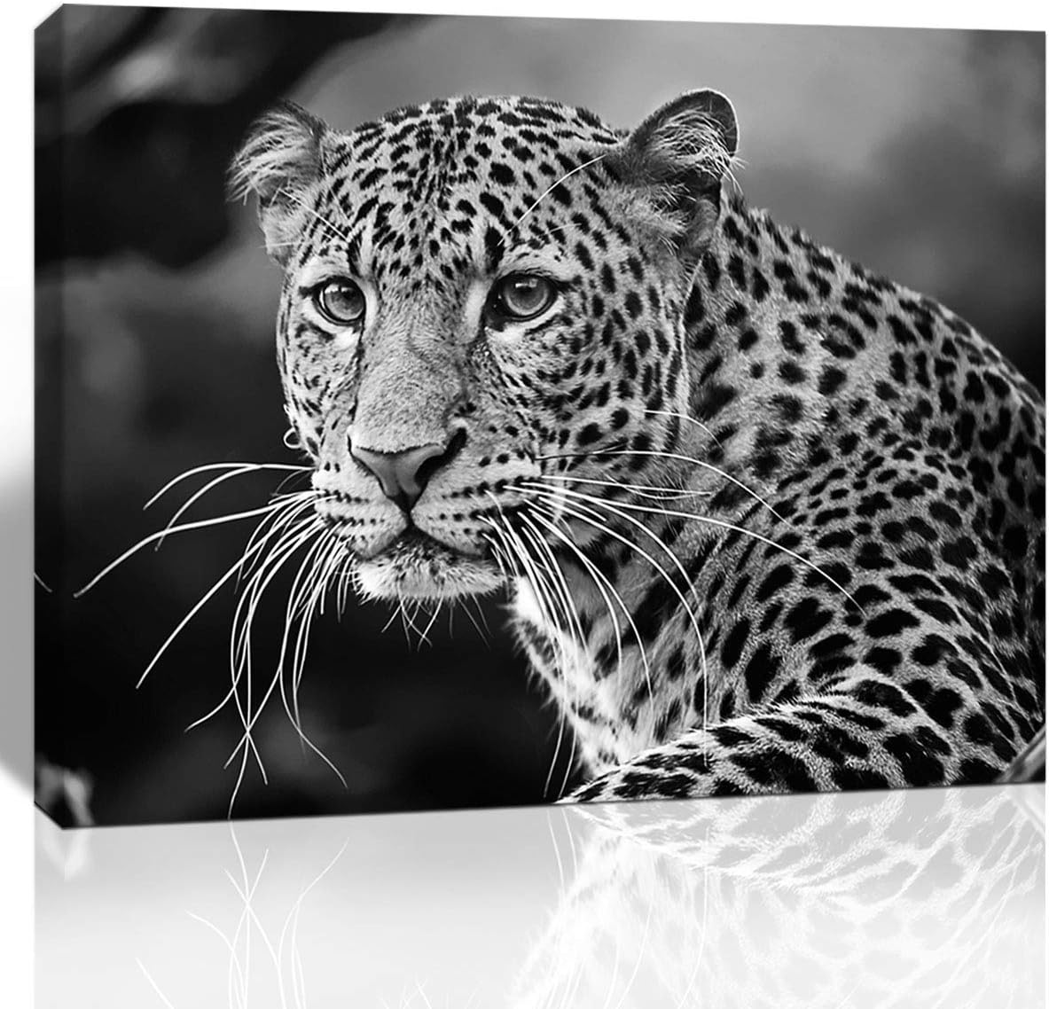Purple Verbena Art Lions Tiger Leopard pictures Canvas Print Artwork Beast Animals photo painting wall Decor for office Meeting Room School Office Modern walls Decoration Gift 12x16 inches Framed