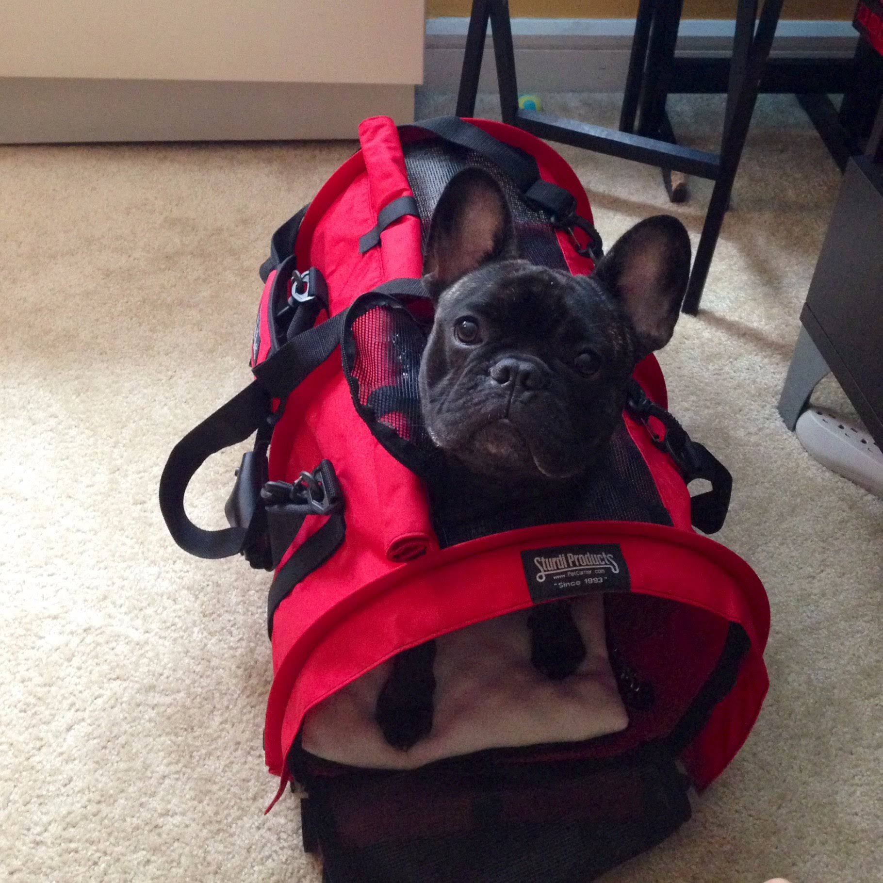 SturdiBag Large Pet Carrier Red