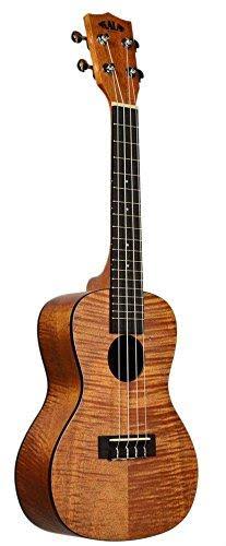 Kala KA-TEM Exotic Mahogany Tenor Ukulele Bundle with Hard Case, Tuner, Austin Bazaar Instructional DVD, and Polishing Cloth