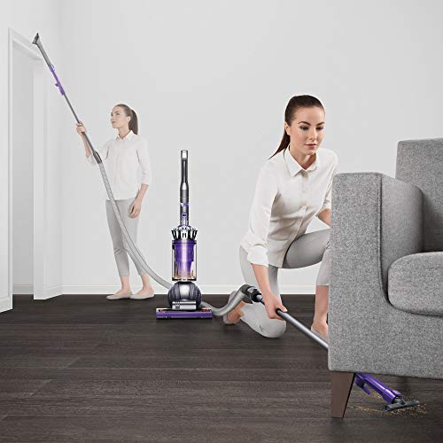 Dyson Ball Animal 2 Upright Vacuum (Certified Refurbished)