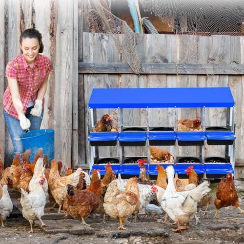 Chicken Nesting Box, 10 Hole 2 Layer Hen Nest Box with Legs, Roll Away Eggs Laying Boxes,Cleanable Pull Out Hen Roosting Boxes