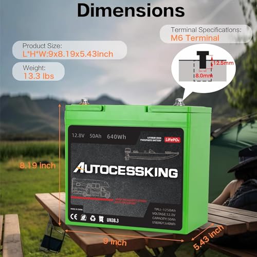 12V 100Ah LiFePO4 Lithium Battery, Deep Cycles Battery Rechargeable with Upgraded 100A BMS, Low Temp Protection 10-Year Lifespan for RV, Comping, Marine, Trolling Motor, Solar, Off-Grid Applications