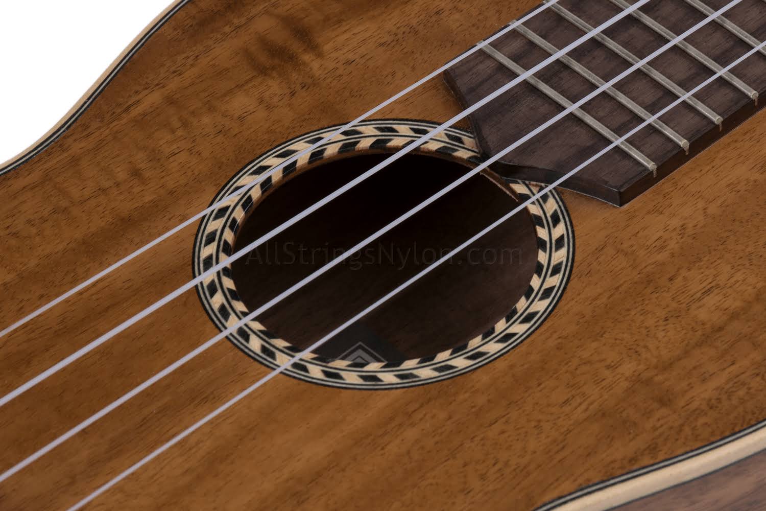 Cordoba 25CK Concert Ukulele