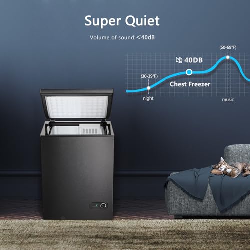 R.W.Flame Chest Freezer