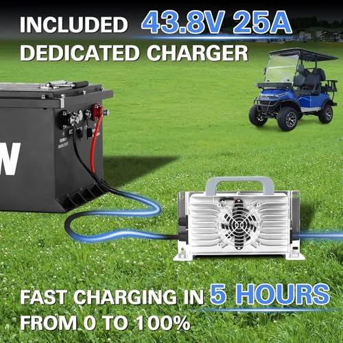 Weize 12V 100Ah TM LiFePO4 Lithium Battery, Built-in Smart BMS, Group 31 Deep Cycle Battery Perfect for Trolling Motor, RV, Solar, Marine, Overland/Van, and Off Grid Applications