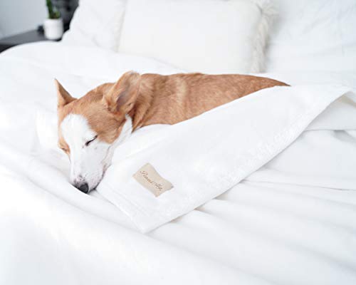 Peacock Alley All Seasons Luxury Cotton Blanket – 100% Long Staple Cozy Cotton Blanket for Sofa, Bed, and Crib - Throw Blanket, Natural