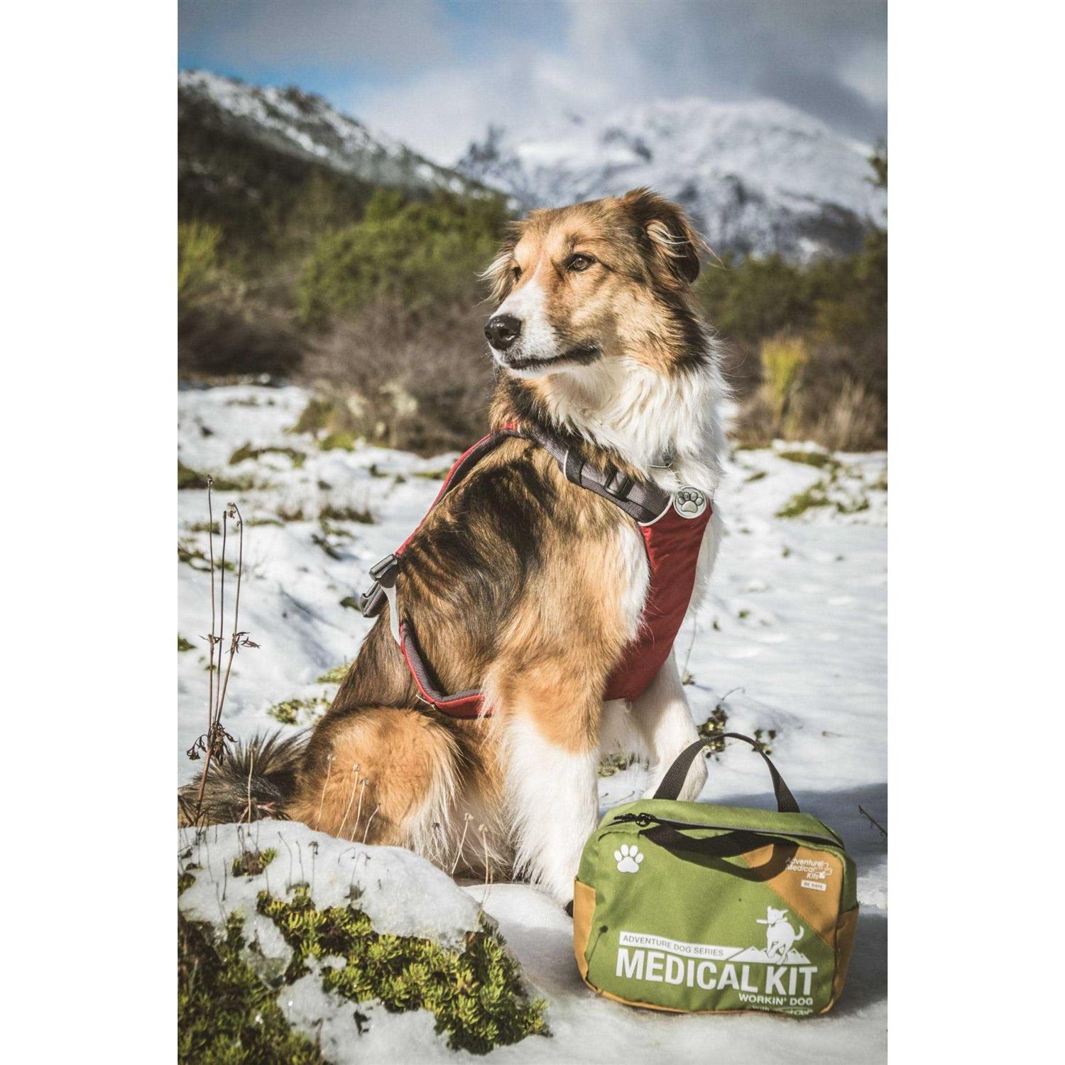 Adventure Medical Dog Series Workin Dog First Aid Kit - Pet Supplies online store
