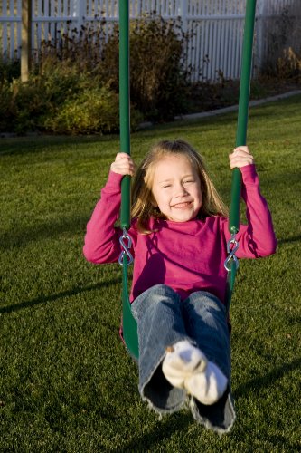 Lifetime Heavy Duty A-Frame Metal Swing Set