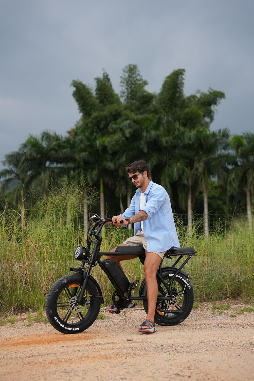 V8 Electric Bike for Adults, 20" Fat Tire Ebike with 750W Brushless Motor/ 48V 15Ah Removable Battery/Up to 31MPH/ 7-Speed Transmission Electric Bicycle/UL Certified, Black