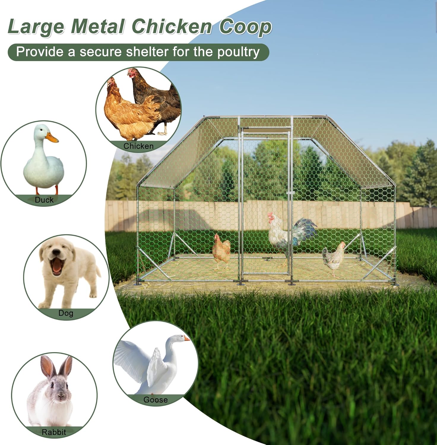 6.46'Lx9.94'W Large Metal Chicken Coop, Walk in Chicken Coop Cage House with Anti-UV Cover for Yard Outdoor, Farm Poultry Chicken Pens for Chickens, Rabbits, Ducks