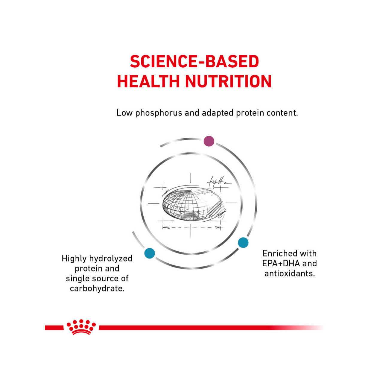 Royal Canin Veterinary Diet Canine Multifunction Renal Support + Hydrolyzed Protein Dry Dog Food - Pet Supplies online store