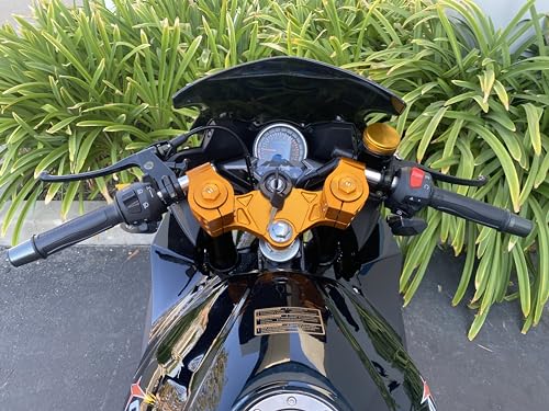 BELMONTE BIKES Venom X22R 250CC CBR Sport Bike Motorcycle, 5-Speed, Full-Size Ninja 17" Wheels, Fully Loaded with LED Headlights, Tail Lights, 2 Seater, 2 Keys, Passenger Foot Pegs