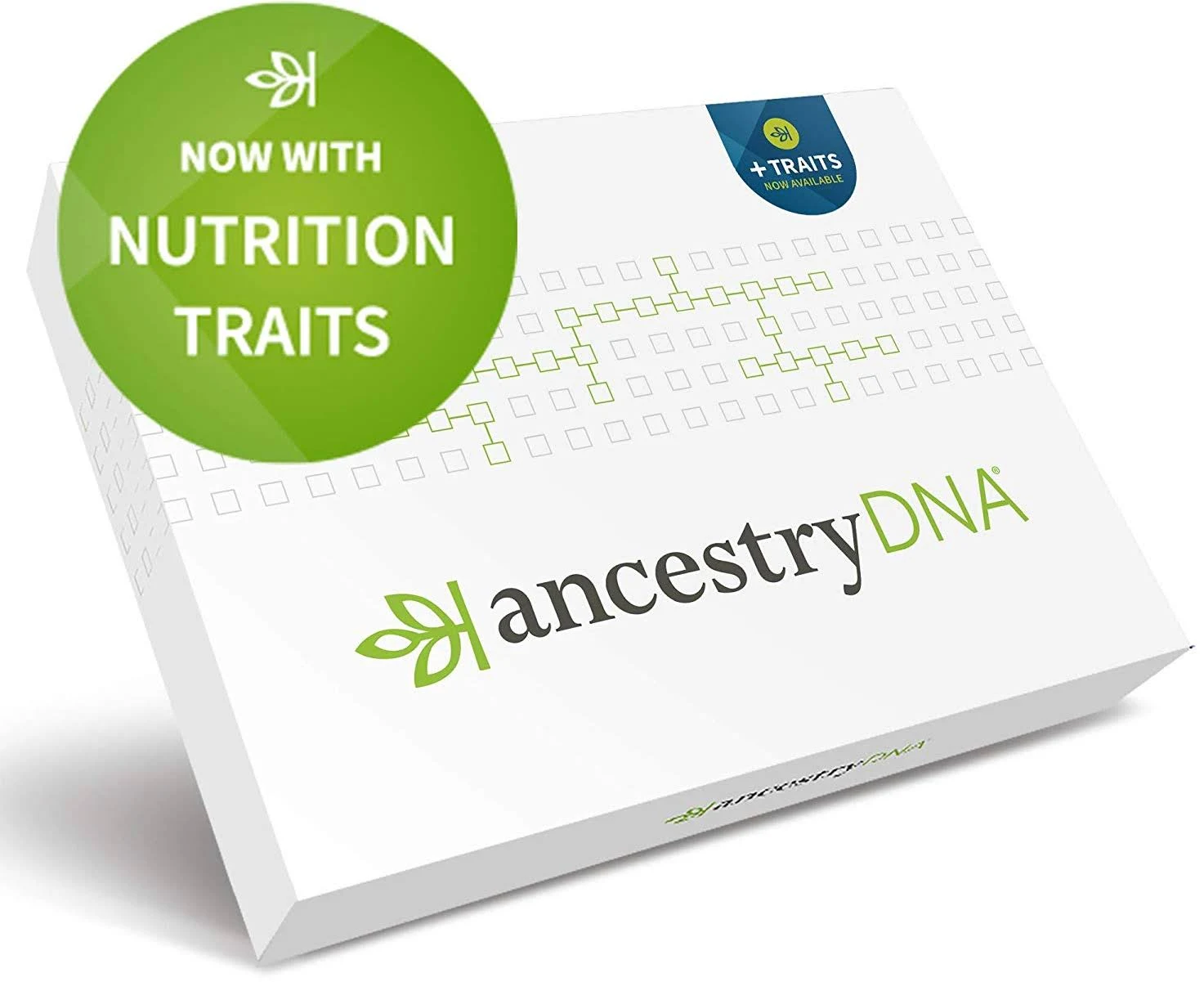 AncestryDNA: Genetic Ethnicity + Traits Test