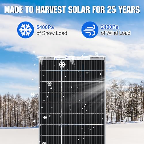 ECO-WORTHY Bifacial 195 Watt 12 Volt 12BB Solar Panel Monocrystalline Double-Sided Power Generation Rigid High-Efficiency PV Module Power Charger for RV,Sunsheds,Canopies,Farms,Home and Off-Grid