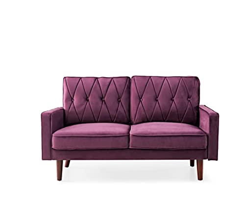 Modern Style Tufted Velvet Couch for Living Room with Soft Fabric Upholstery and Solid Wood Frame, 57.5'' Wide Loveseat, EGGPLANT