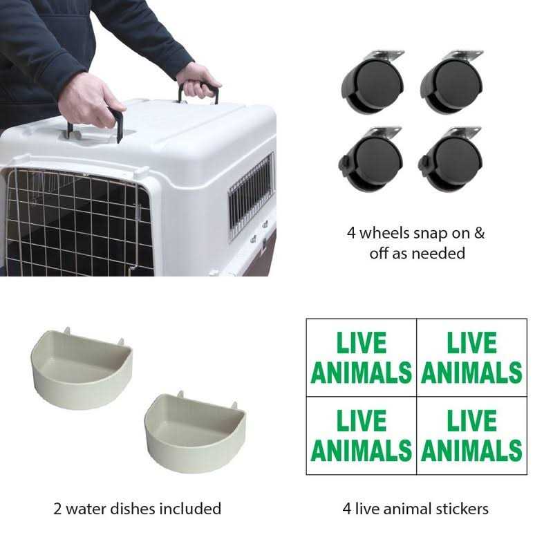 Sportpet Designs Plastic Kennels Rolling Plastic Wire Door Travel Dog Crate - Pet Supplies online store