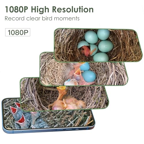 Smart Bird Houses for Outside Solar Powered, 1080P HD Live View Birdhouse with Camera, Perfect Viewing Bird Nesting and Hatching, Ideal Outdoors Bird House for Blue Bird and Cardinal (Black)