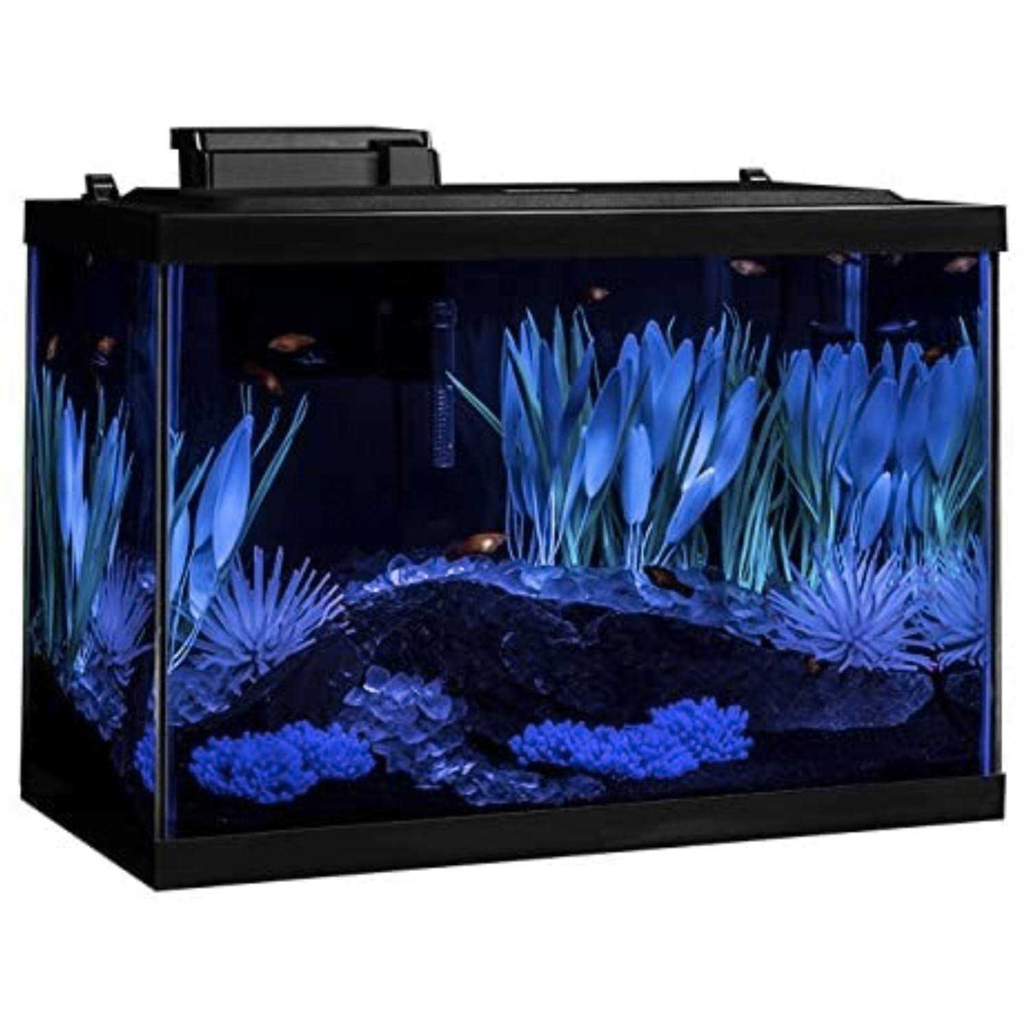 Tetra Colorfusion Aquarium 20 Gallon Fish Tank Kit Includes LED - Pet Supplies online store