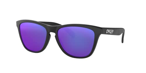Oakley Mens Frogskin Sunglasses (OO9013) Plastic