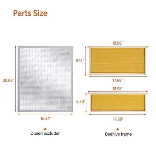 VINGLI 10-Frame Bee Hive, Wax Coated Beehive Starter Kit with Frames & Beeswax Coated Foundation Sheets (3 Layer)