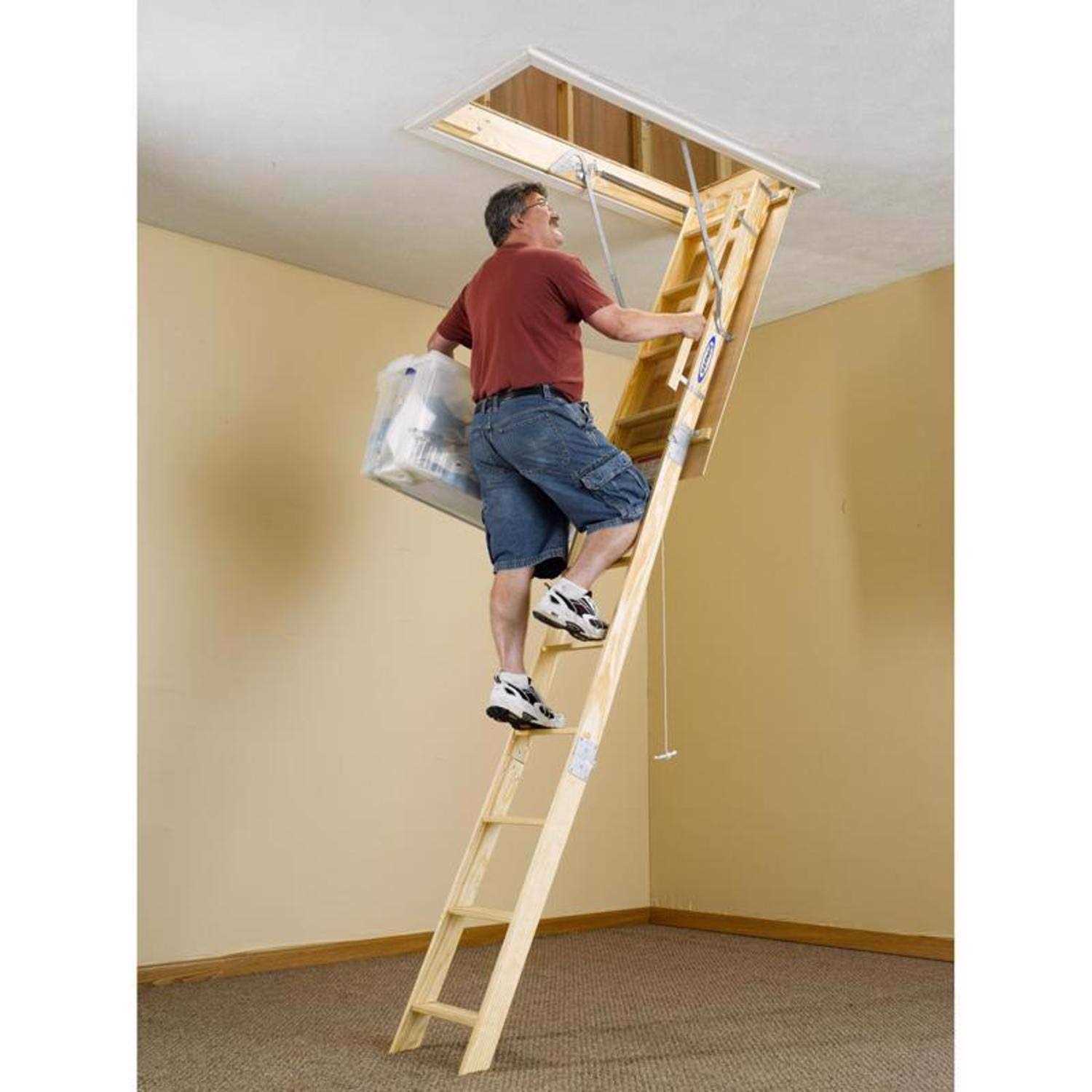 Werner 10.2 ft. H x 22.5 In. W Wood Attic Ladder Type 1 250 lb. Capacity