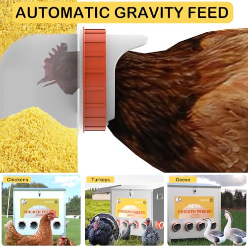 Automatic Chicken Feeder No Waste Metal Poultry Feeder Large Capacity 85lbs for Chickens, Geese, Ducks, Turkeys, Quails (10-Port)