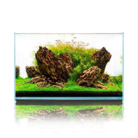 UNS 60U 20 Gallon Ultra Clear Rimless Aquarium - Pet Supplies online store