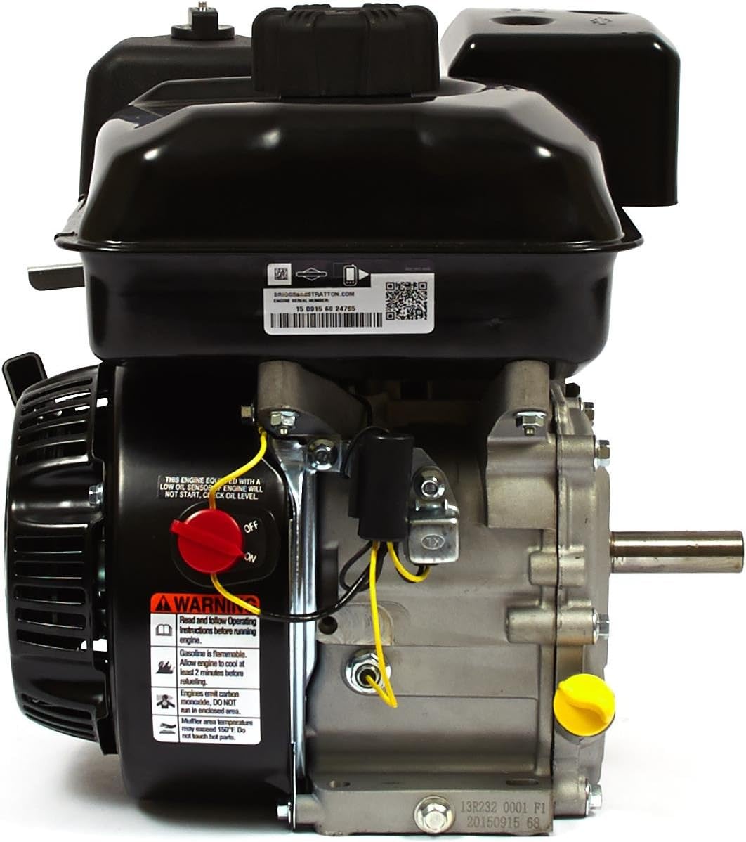 Briggs and Stratton 13R232-0001-F1 Engine