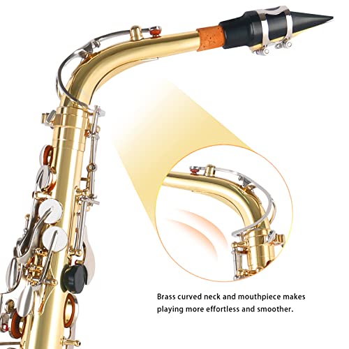 EASTROCK Black Nickel/Golden Alto Saxophone E Flat Sax Full Kit for Students Beginner with Carrying Case,Mouthpiece,Mouthpiece Cushion Pads,Cleaning Cloth&Cleaning Rod,White Gloves,Neck Strap