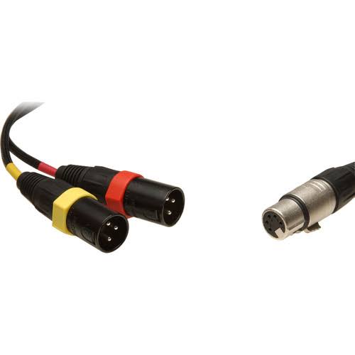 Remote Audio 5-Pin Stereo XLR Female to Dual XLR Male Y-Cable - 18x22 3Pin M 5Pin F, Length 1.5& 0.4 M, 1& CAXSTE