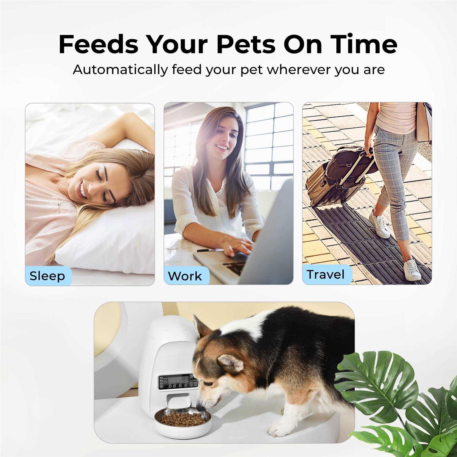 DOGNESS Mini Programmable Automatic Dog &amp; Cat Feeder - Pet Supplies online store