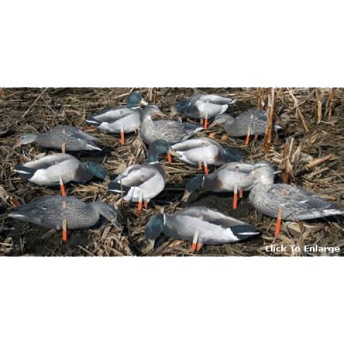 Real Geese Pro Series II Extreme Mallards - WF610PSS