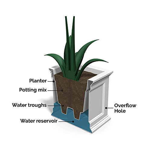 Mayne Fairfield 20in x 36in Rectangle Planter - Black - 36in L x 20in W x 20in H - with Built-In Water Reservoir (5826-B)