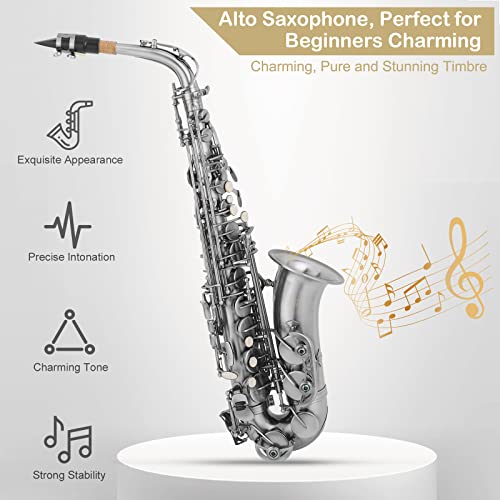 Ktaxon Alto Saxophone Drop E Flat Brass Sax Beginner Sax Full Kit with Mouthpiece, Carrying Case, Gloves, Cleaning Cloth Bar, Detachable Strap, Shoulder Strap, Reed