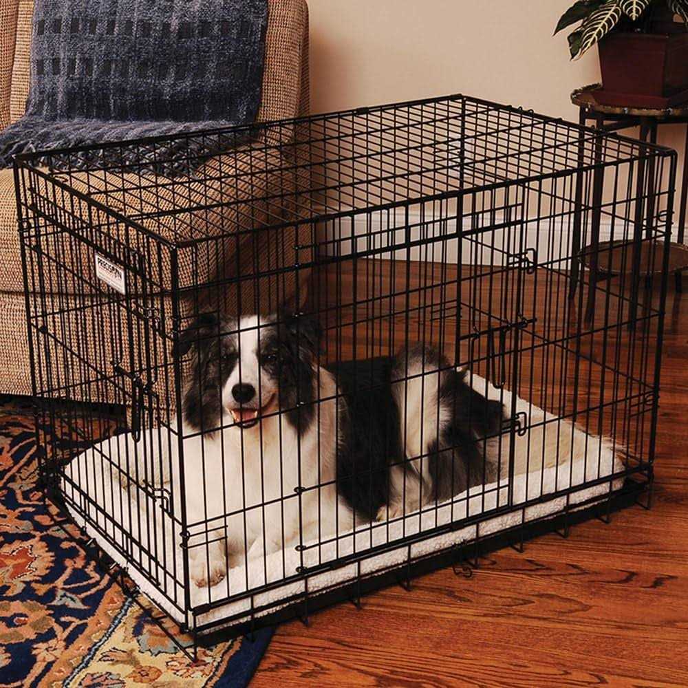 Precision Pet 2-Door Great Crate - Pet Supplies online store